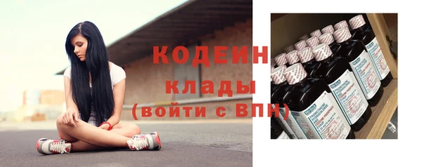 ГАЛЛЮЦИНОГЕННЫЕ ГРИБЫ Аркадак