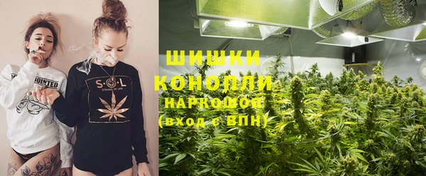 ГАЛЛЮЦИНОГЕННЫЕ ГРИБЫ Аркадак